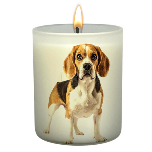 Beagle_Body