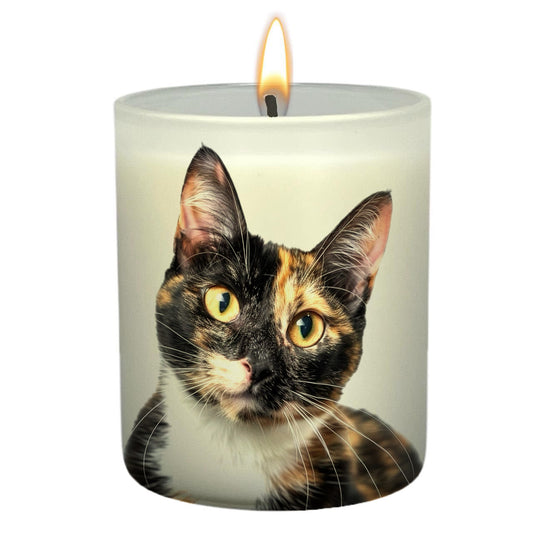 Calico