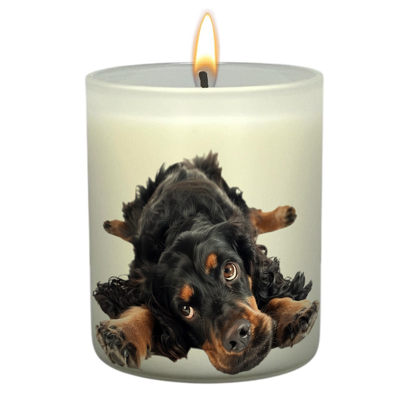 Cockerspaniel Black & Tan_Body
