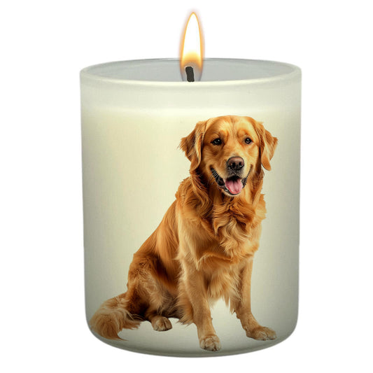 Golden Retriever_Body