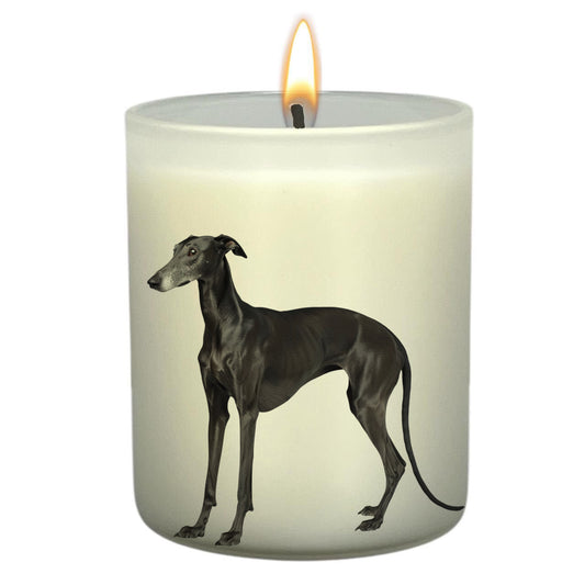 Greyhound_Body