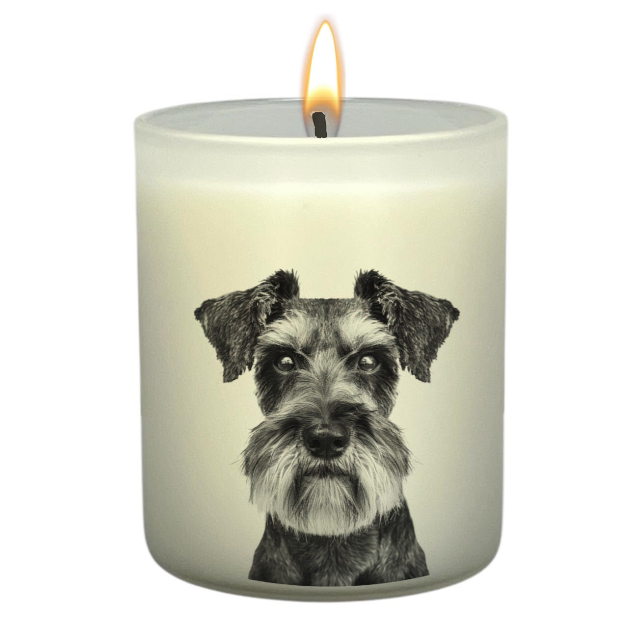 Schnauzer Grey_Head