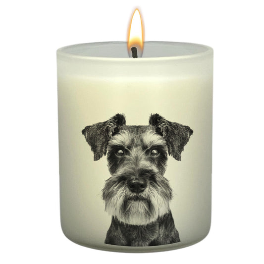 Schnauzer Grey_Head