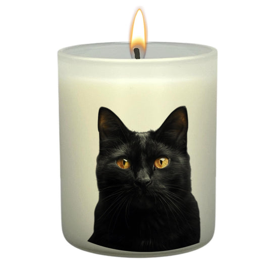 Black Cat