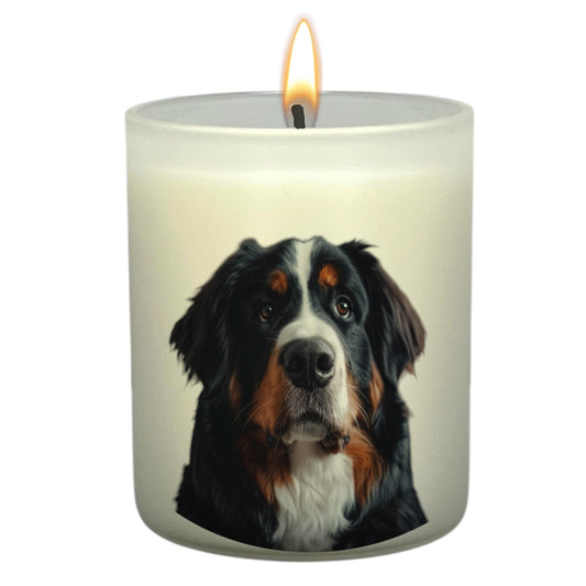 Bernese Mountain Dog