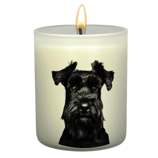 Schnauzer Black_Head