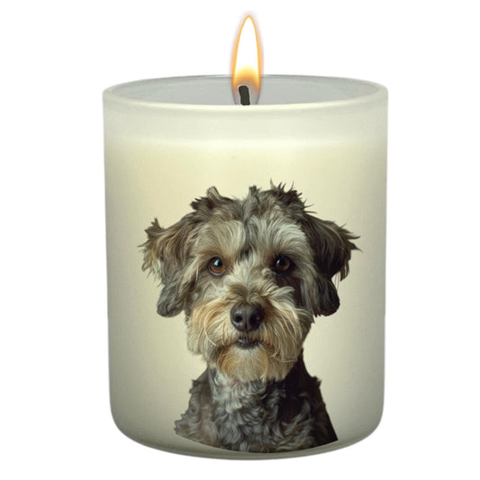 Schnoodle