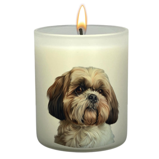 Shih Tzu