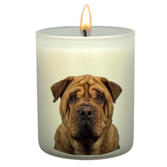 Shar Pei
