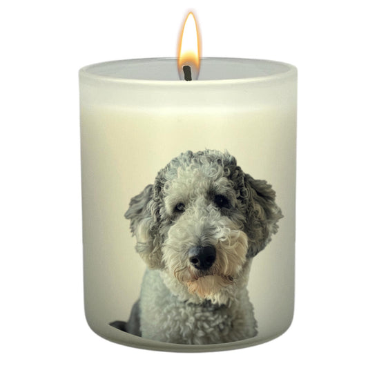 Sheepadoodle