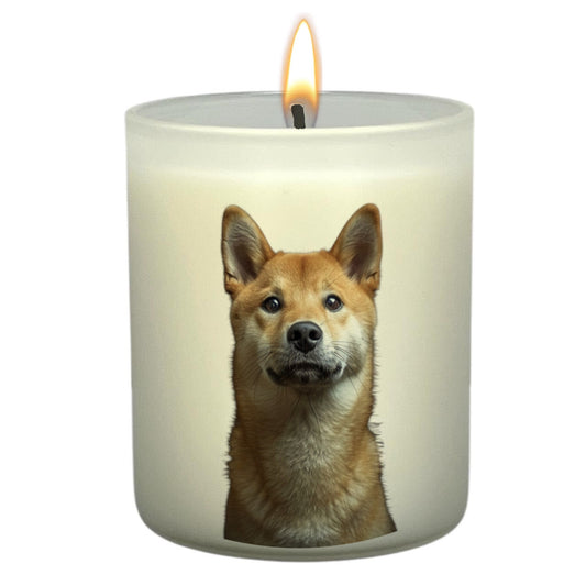 Shiba Inu