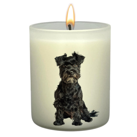 Schnauzer Black_Body