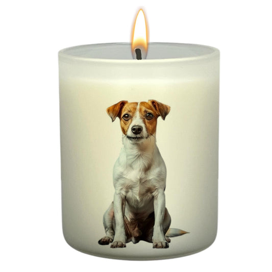 Jack Russel Body