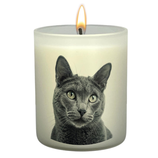 Russian Blue