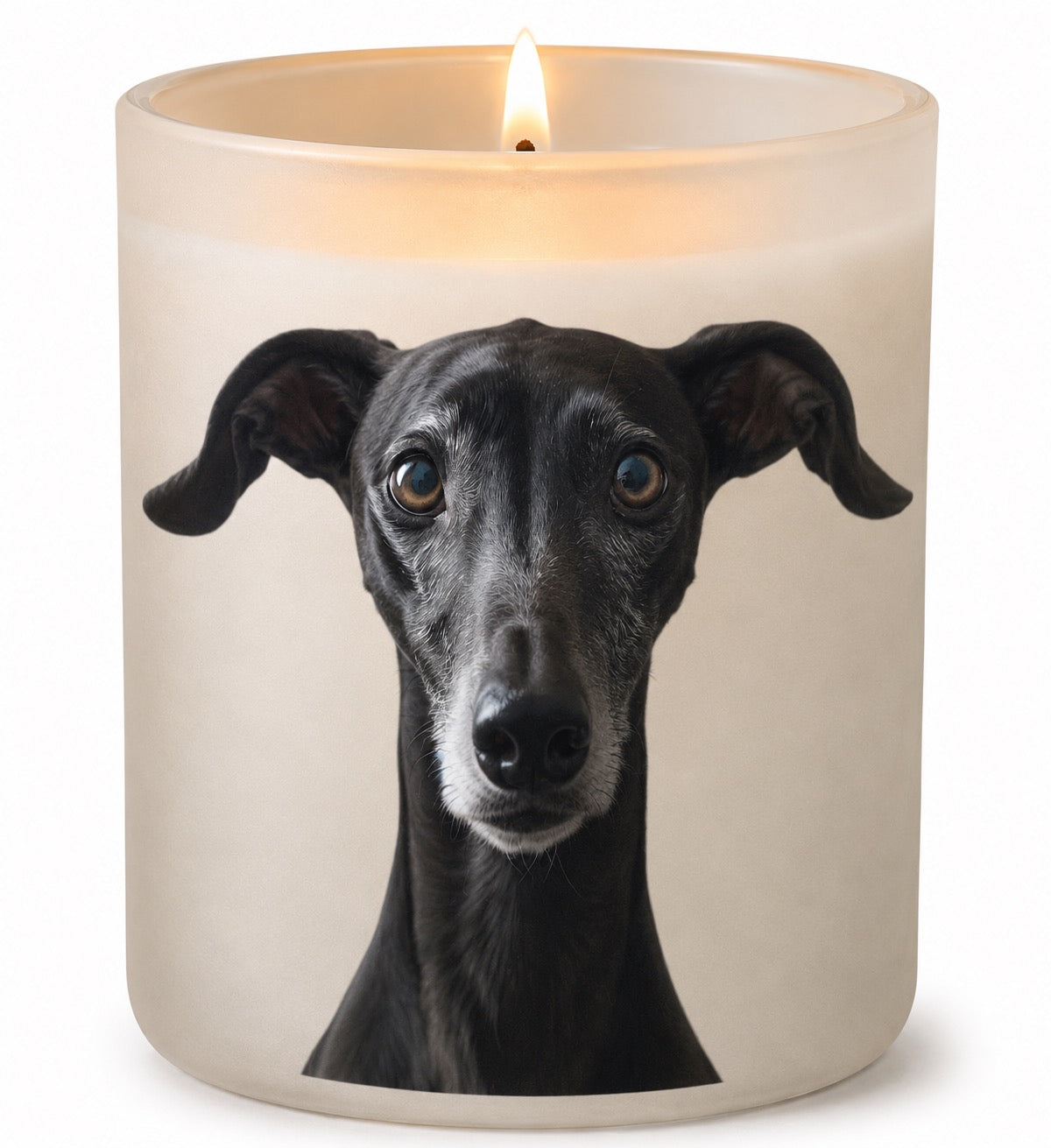 Greyhound_Black