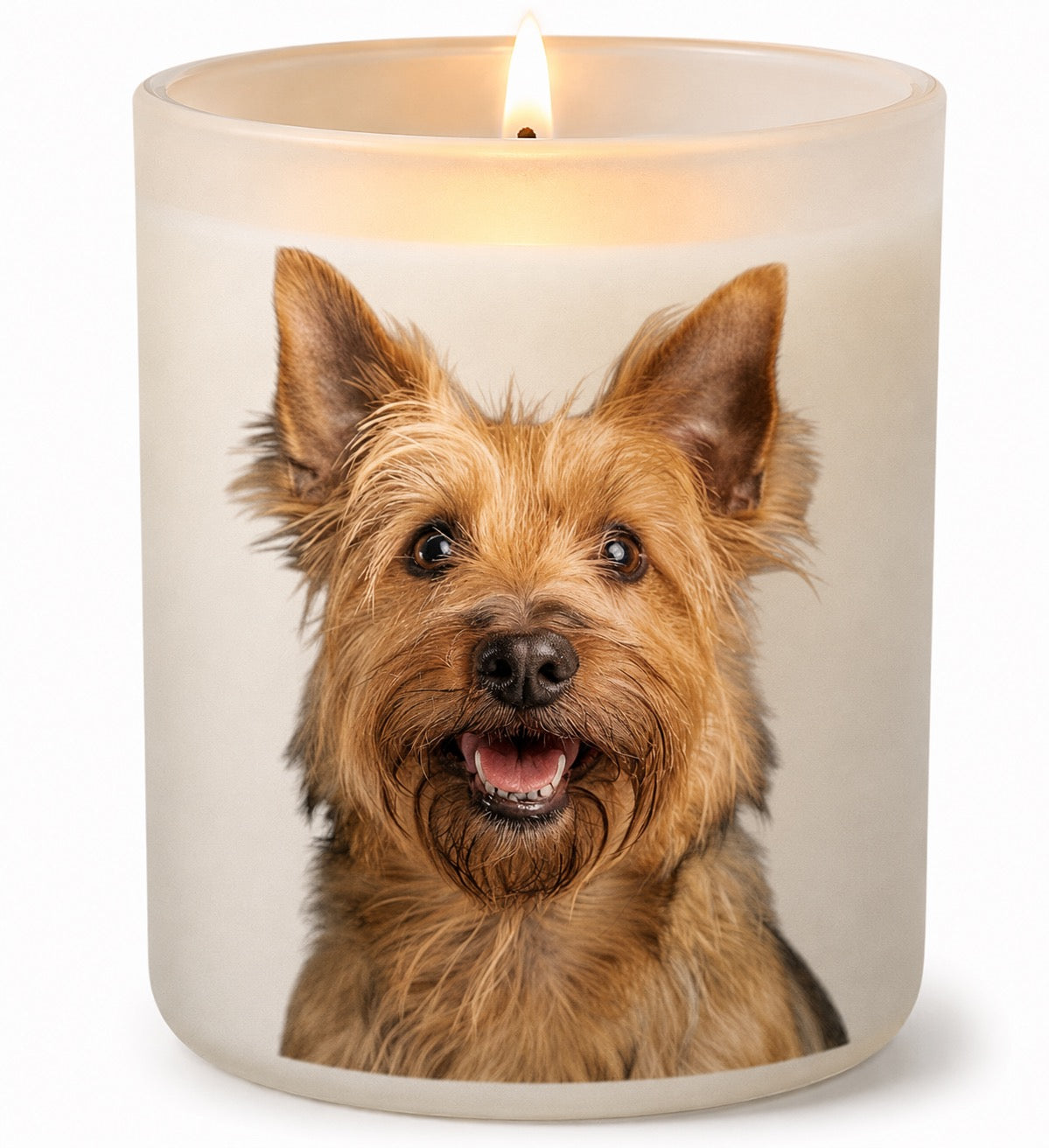 Australian Terrier