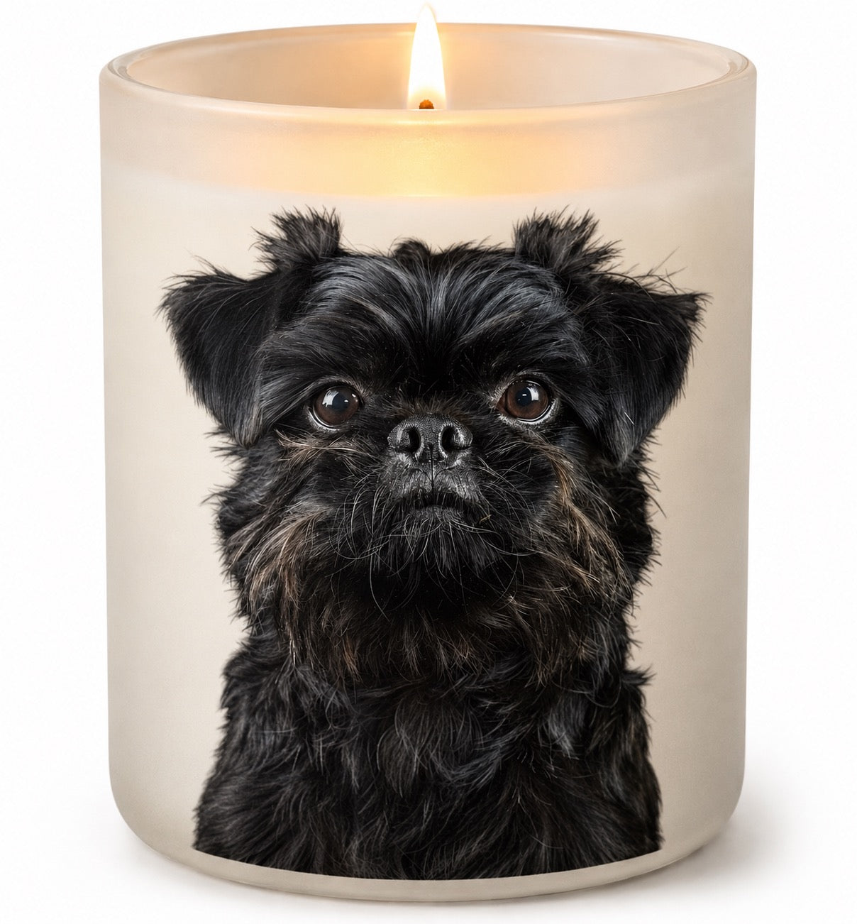 Brussels Griffon_Black