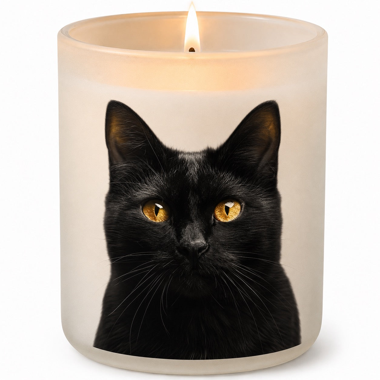 Black Cat