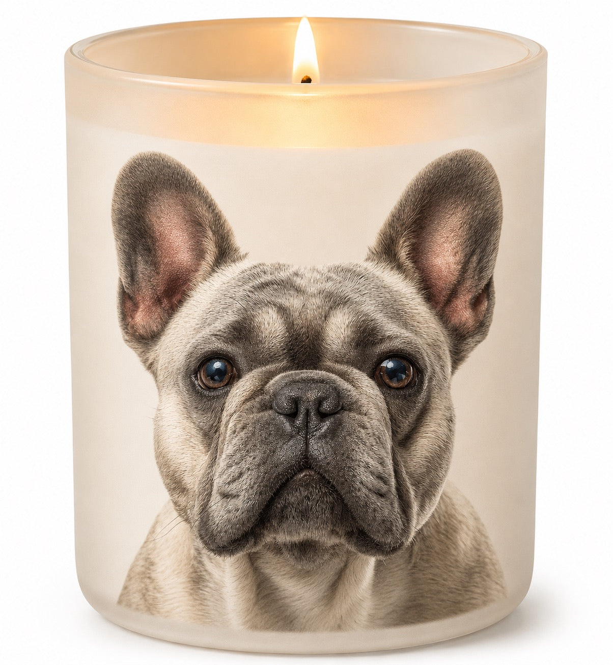 French Bulldog_Silver