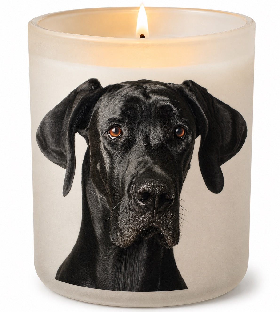 Great Dane_Black
