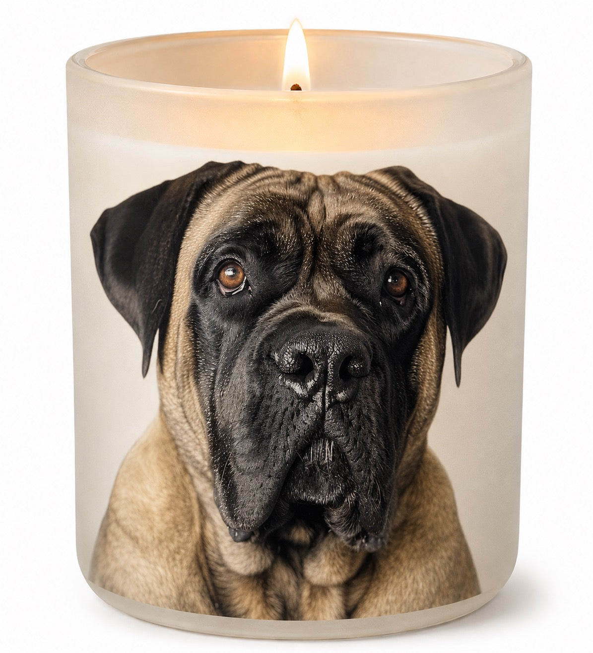 English Mastiff