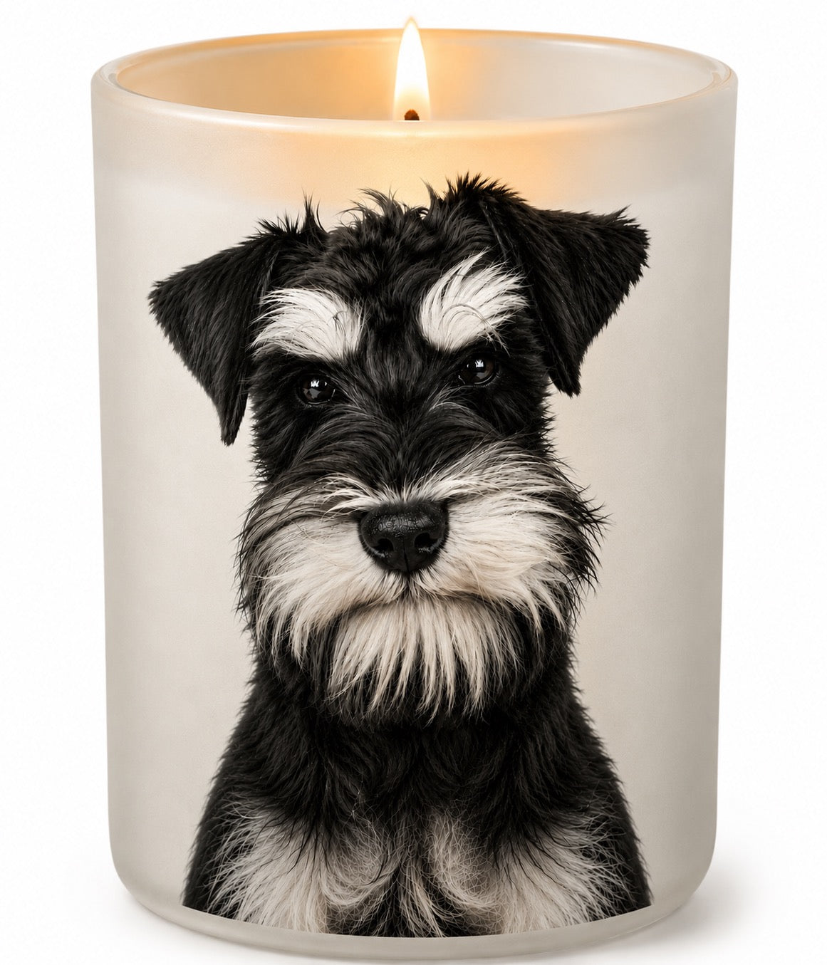 Schnauzer_Black & White