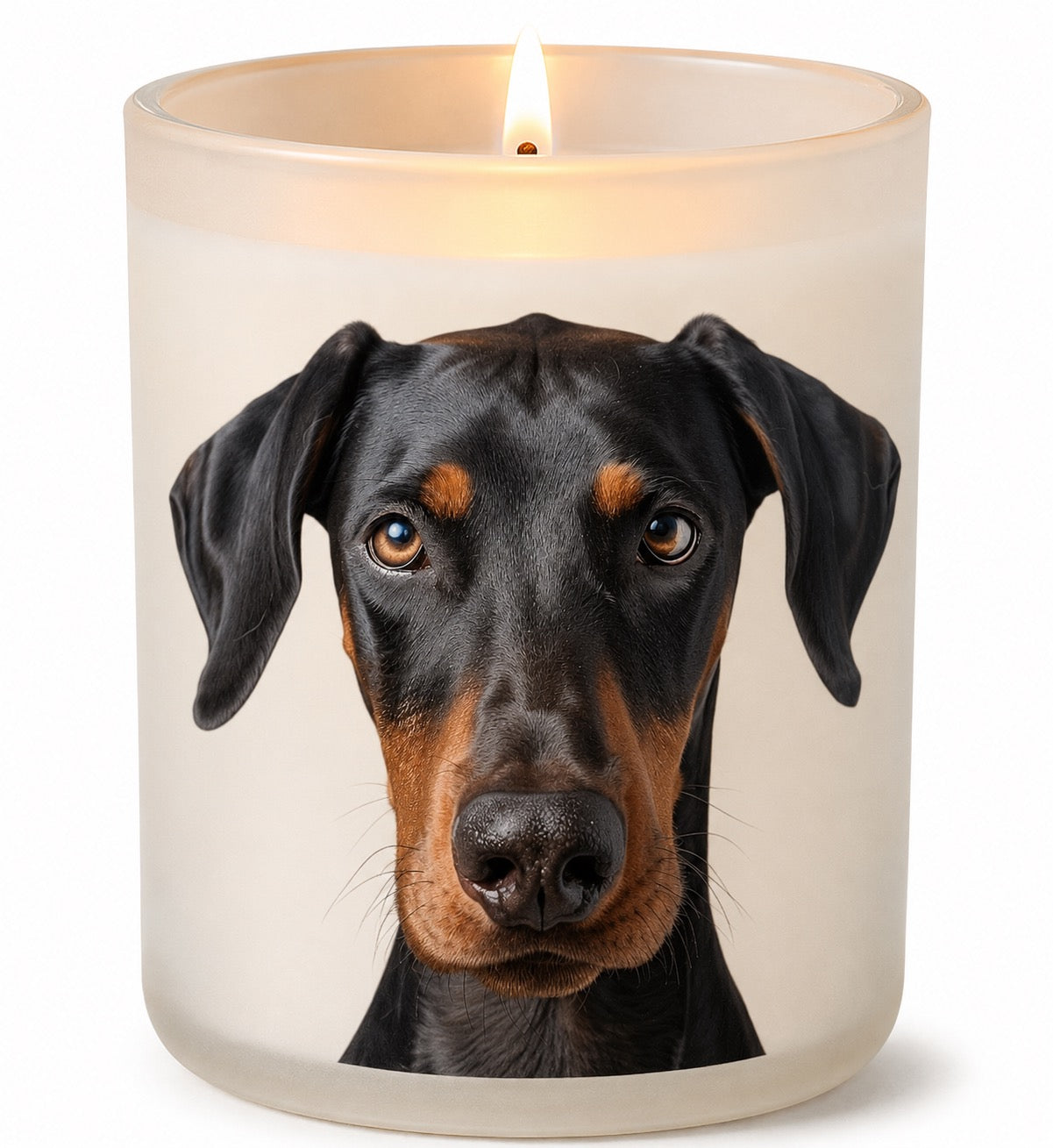 Dobermann Relaxed