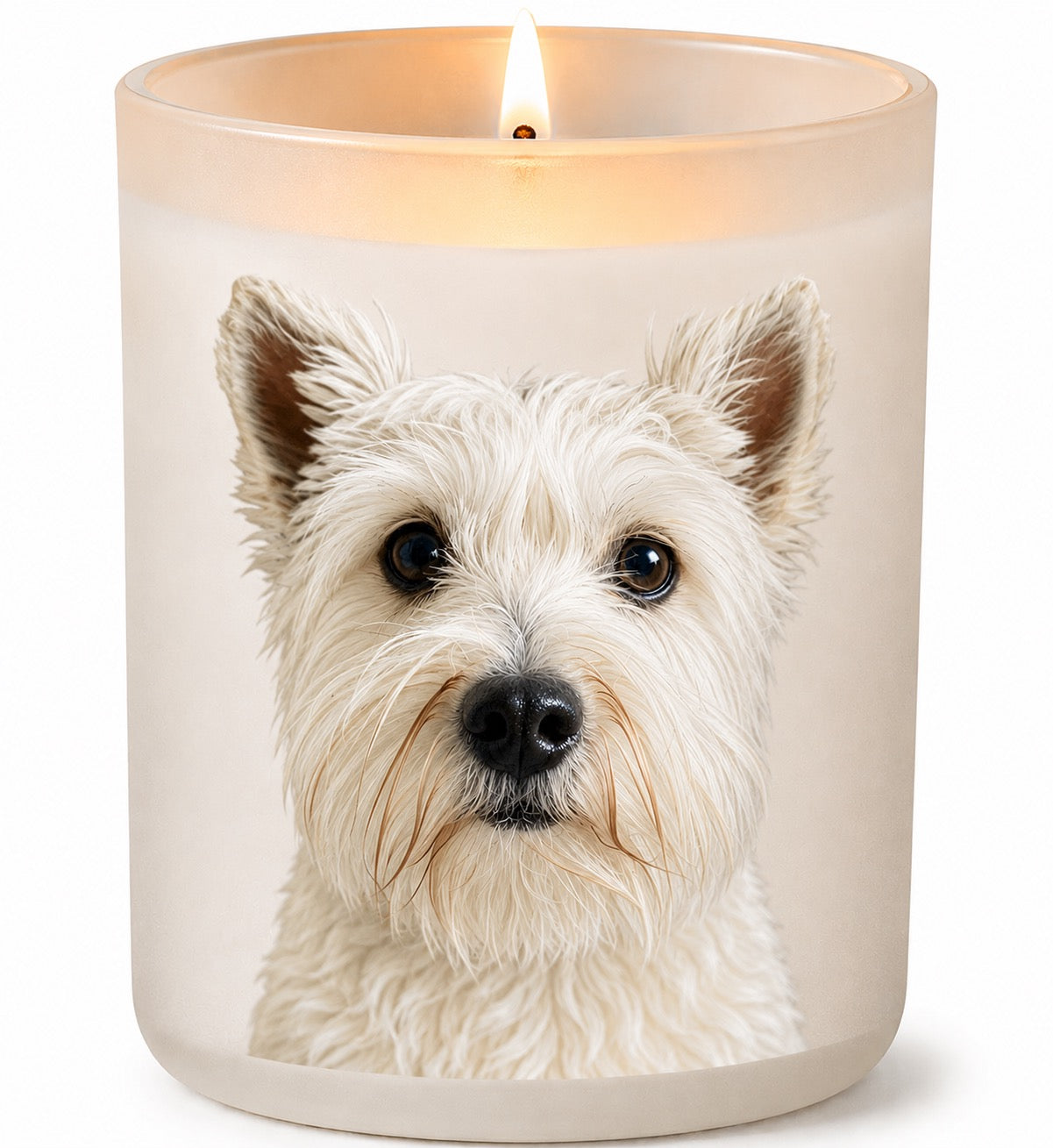 Westie