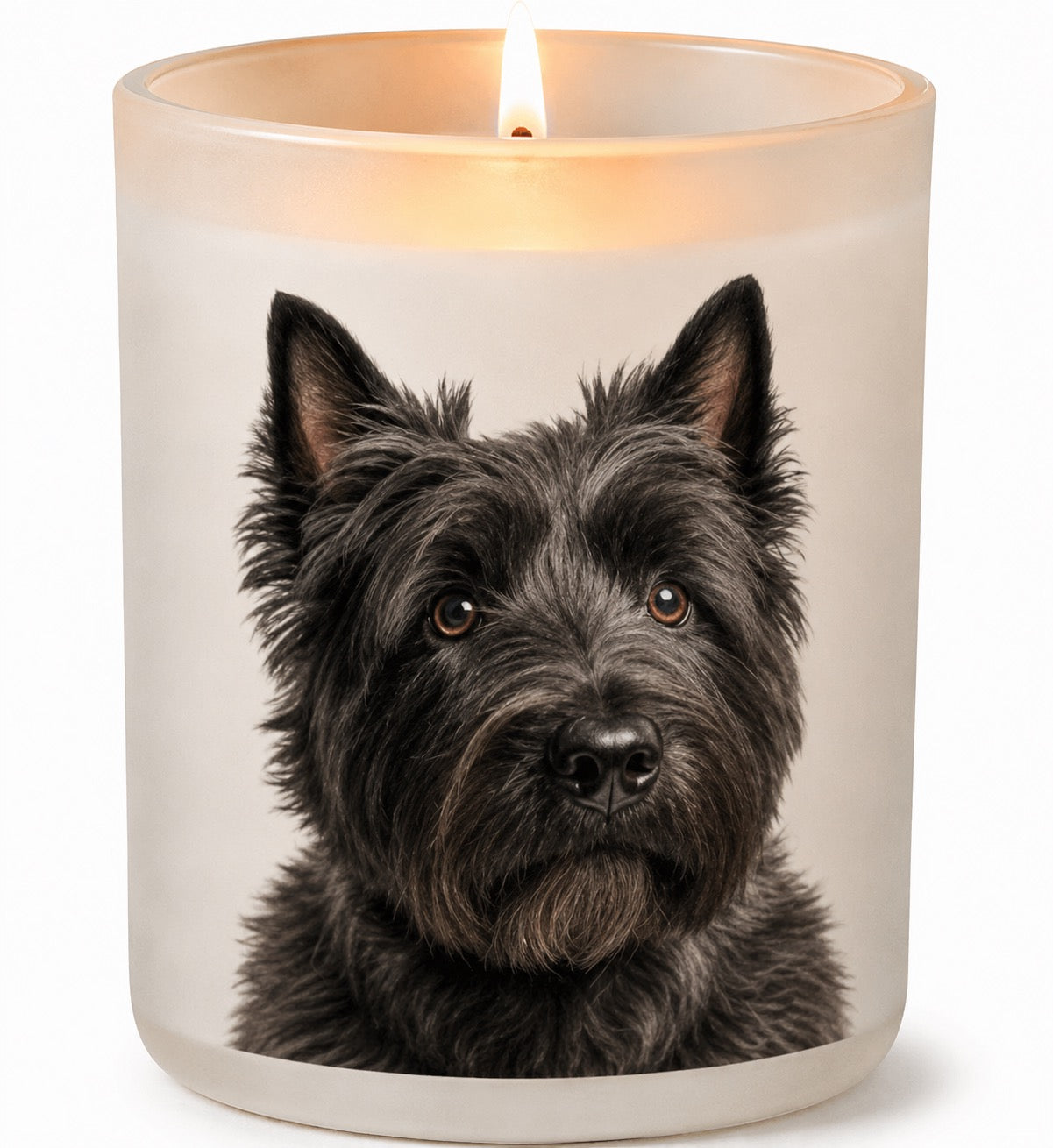 Westie_Black