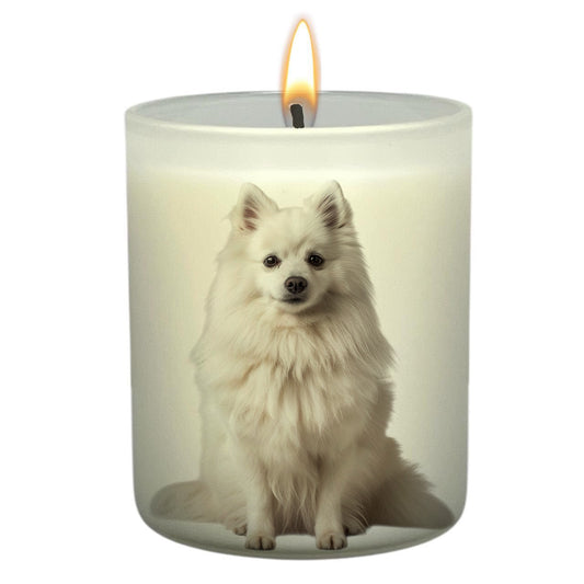 Japanese Spitz_Body