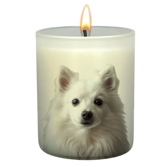 Japanese Spitz_Head