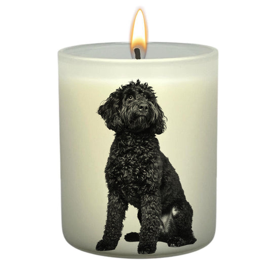 Labradoodle Black_Body
