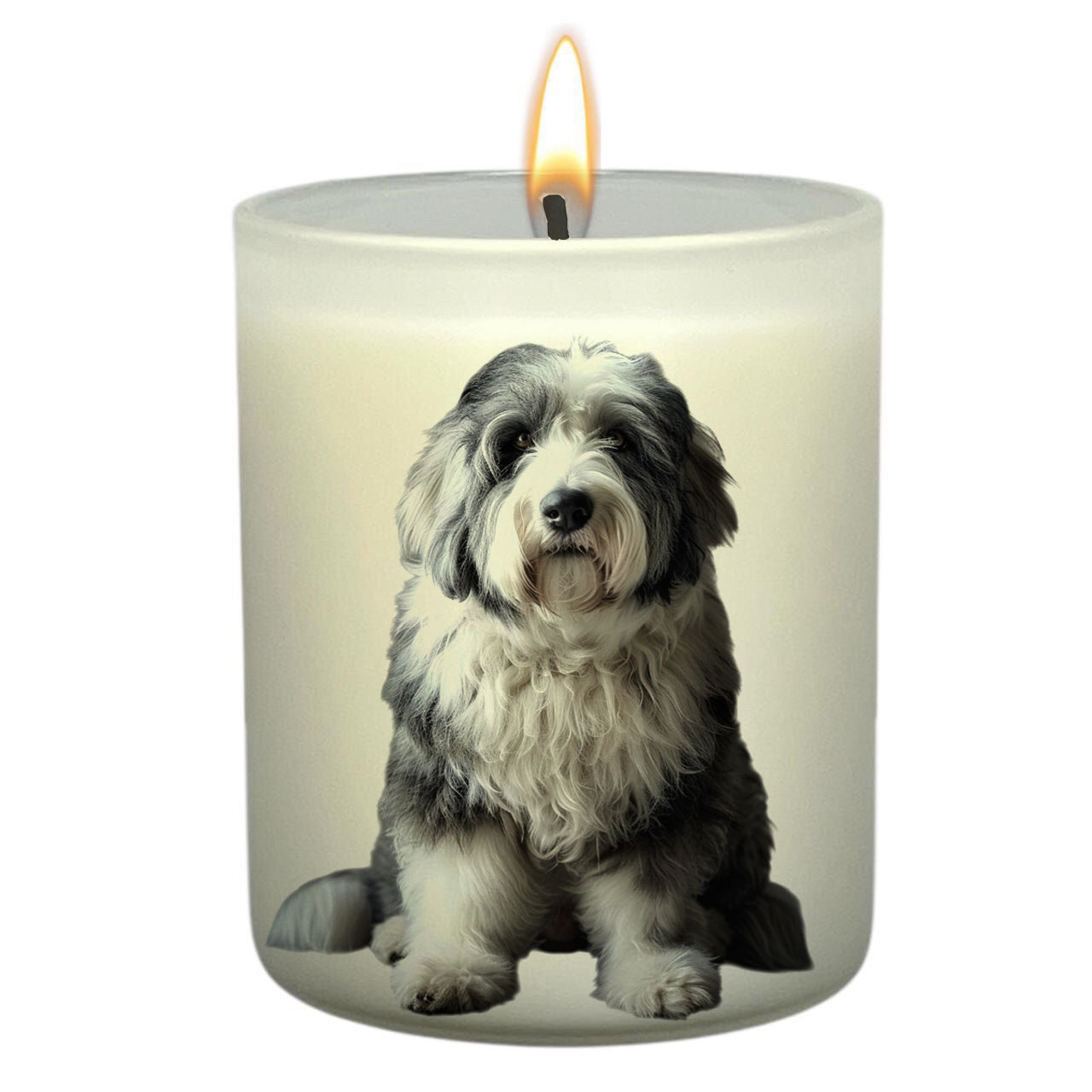 Old English Sheepdog_Body