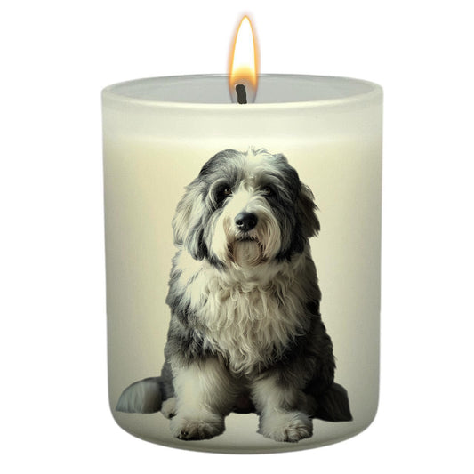 Old English Sheepdog_Body