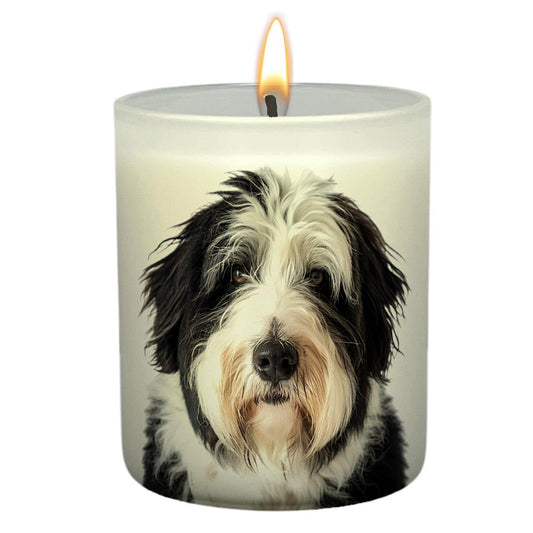 Old English Sheepdog_Head