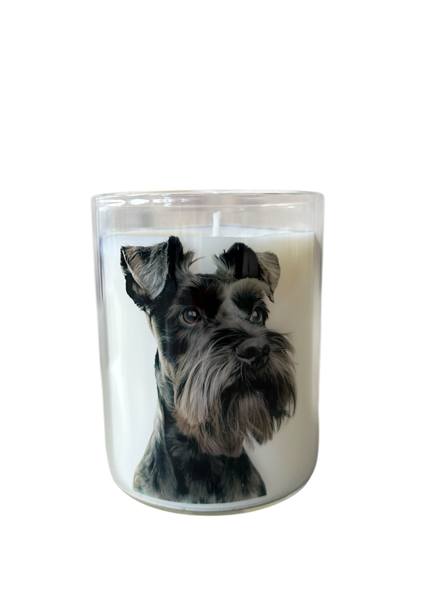 Scented Pet Design Glass Jar Candle