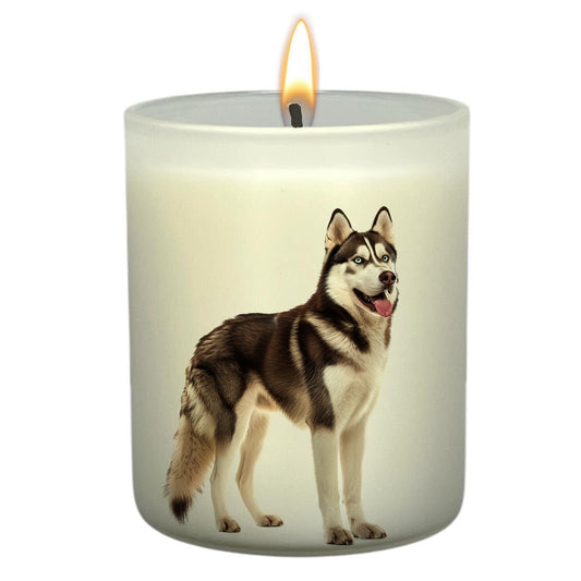Siberian Huskie_Body