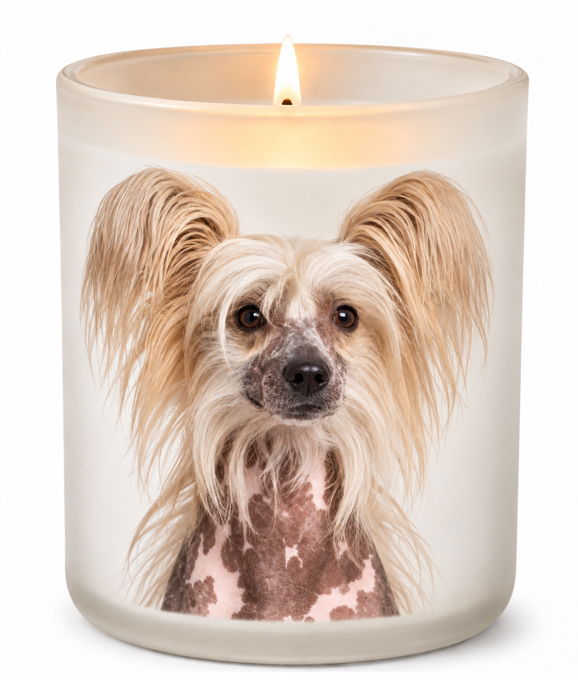 Chinese Crested on a lit white 10oz glass candle