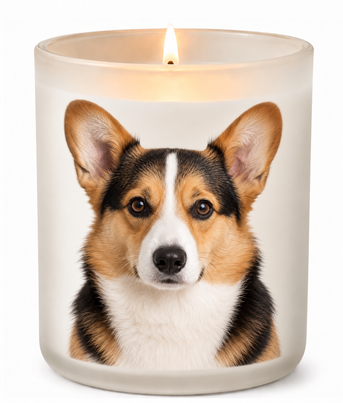 Corgi – Tri-colour on a lit white 10oz glass candle
