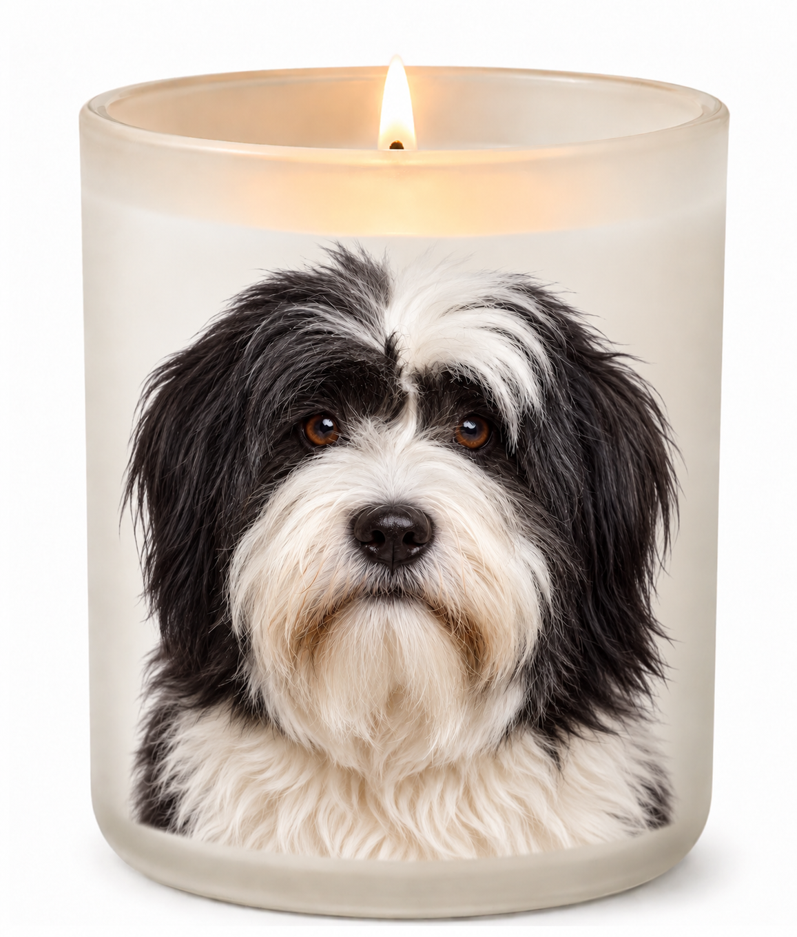 Lhasa Apso – Black & White on a lit white 10oz glass candle