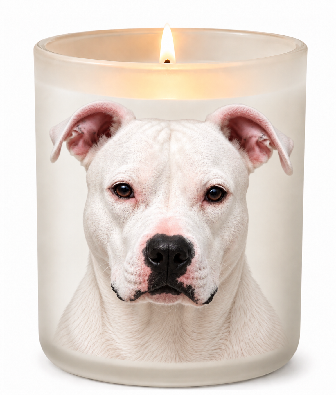 Pit Bull Terrier – White on a lit white 10oz glass candle