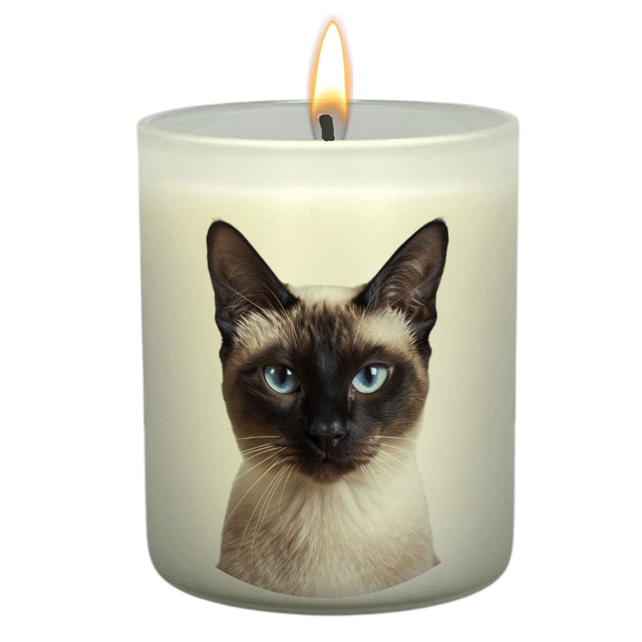 Feline Collection