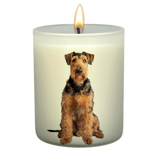 Airedale Terrier_Body