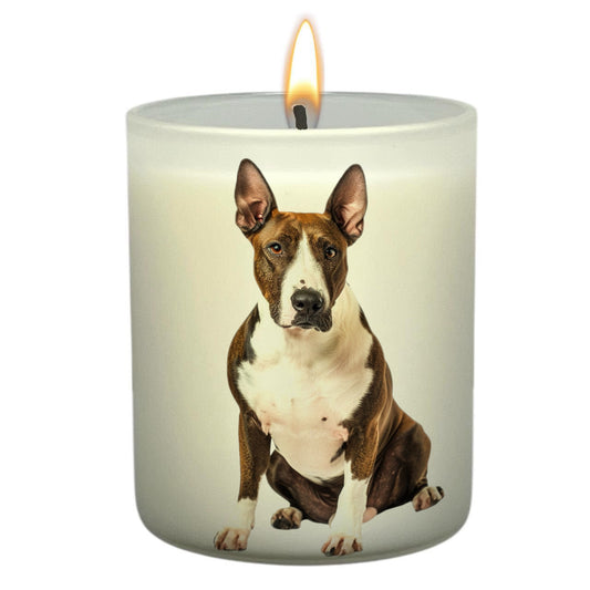 Bull Terrier