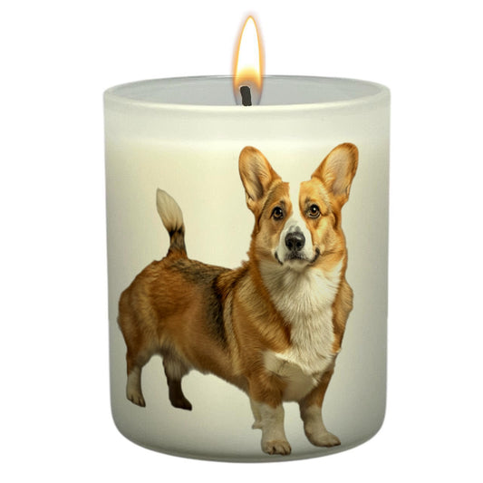 Corgi_Body