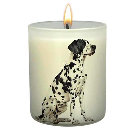 Dalmation_Body