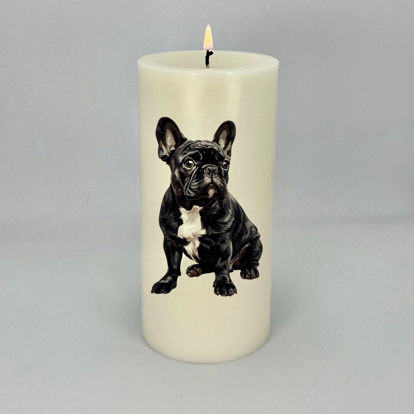 French Bulldog Black