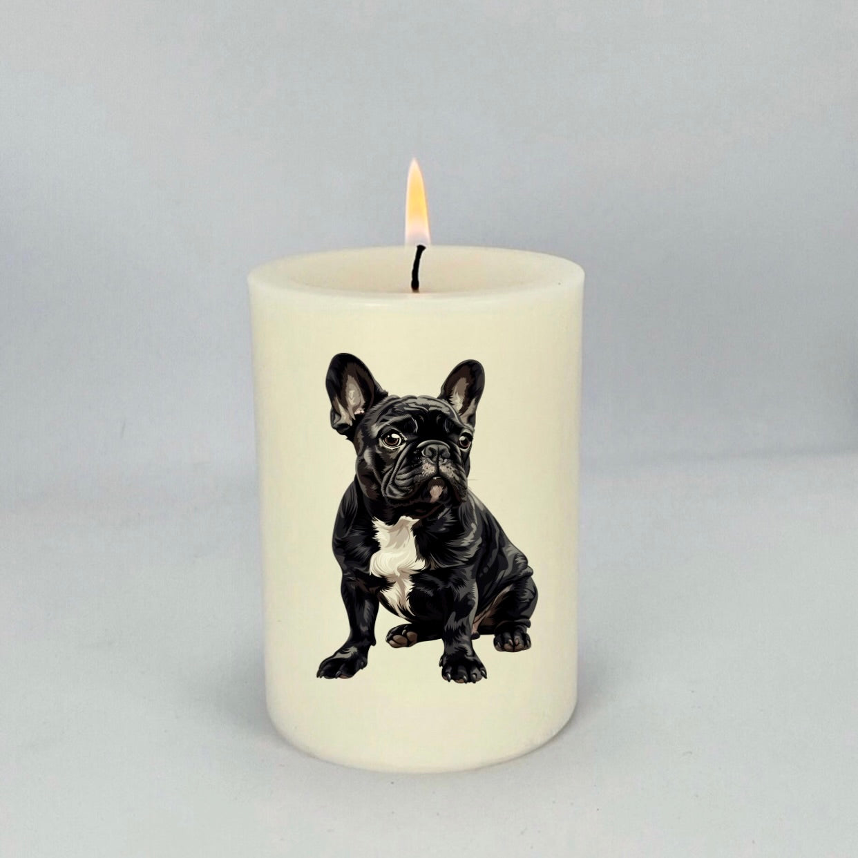 French Bulldog Black