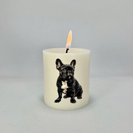 French Bulldog Black