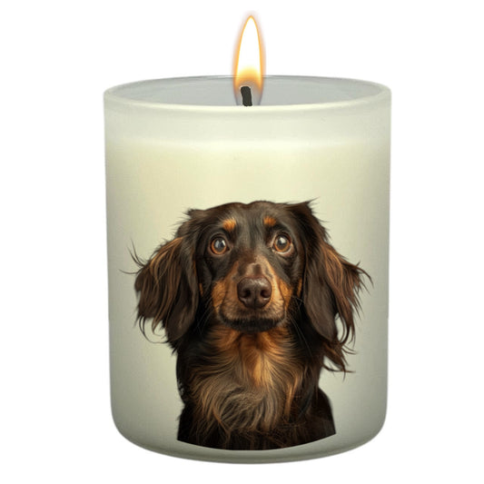Dachshund (Chocolate & Tan)